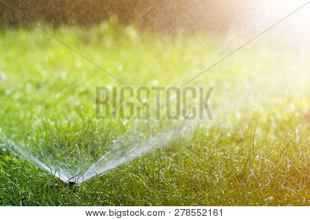 Lawn Water Sprinkler Spraying Water Over Lawn Green Fresh Grass In Garden Or Backyard On Hot Summer 