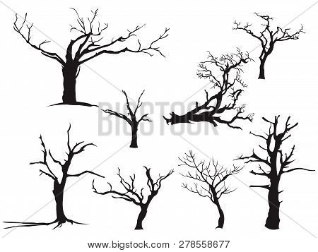 Dry Tree Dead Drought Fall Autumn Black Silhouette