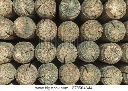 Stack Of Round Wooden Pillars, Cross Section, Front View