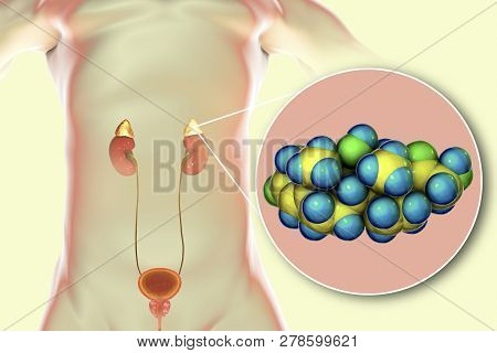 Molecule Of Cortisol Hormone And Adrenal Gland, 3d Illustration. Cortisol Is A Steroid Hormone Of Gl