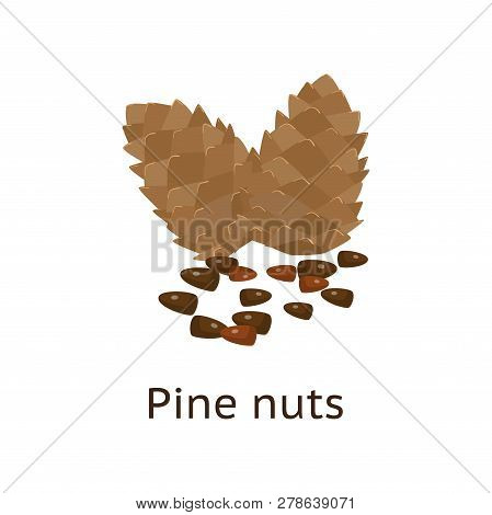 The Fruit Of The Plant Is A Hard-shelled Nut With An Edible Core.
