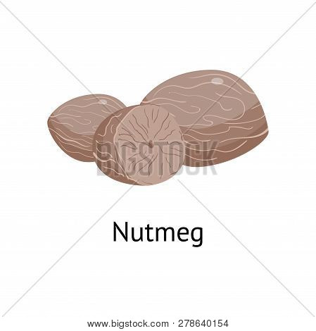 The Fruit Of The Plant Is A Hard-shelled Nut With An Edible Core.