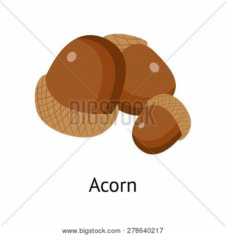 The Fruit Of The Plant Is A Hard-shelled Nut With An Edible Core.