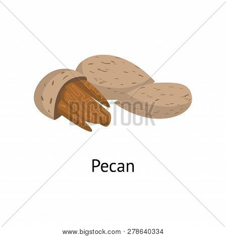 The Fruit Of The Plant Is A Hard-shelled Nut With An Edible Core.