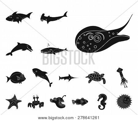 Isolated Object Of Sea And Animal Icon. Collection Of Sea And Marine Stock Vector Illustration.