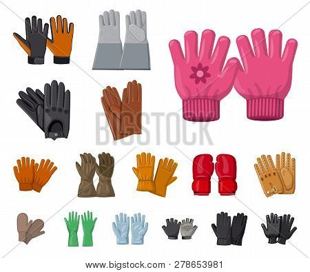 Vector Design Of Glove And Winter Icon. Collection Of Glove And Equipment Vector Icon For Stock.