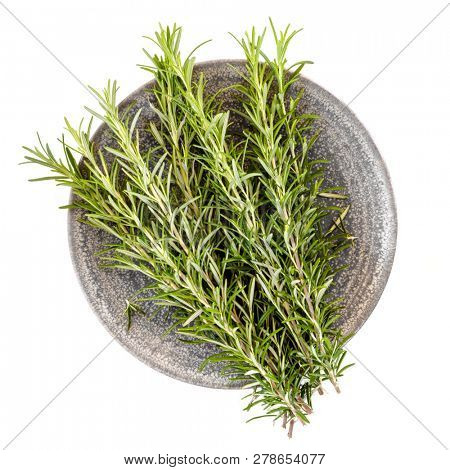 Fresh rosemary on stone plate, top view, isolated on white.