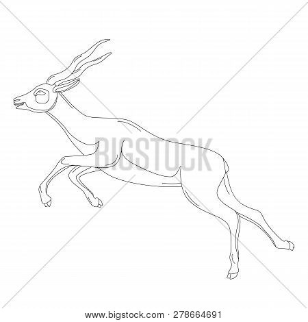 Running Antelope,vector Illustration , Lining Draw  ,profile View