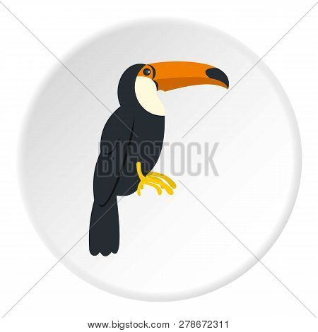 Toucan, Ramphastos Vitellinus Icon In Flat Circle Isolated Illustration For Web