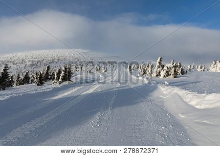 Beautiful Winter Landscape Krkonos On A Sunny Day. Winter Ridges Of The Krkonose Mountains. Trees Co