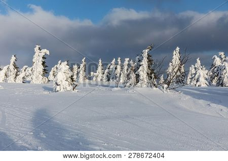 Beautiful Winter Landscape Krkonos On A Sunny Day. Winter Ridges Of The Krkonose Mountains. Trees Co