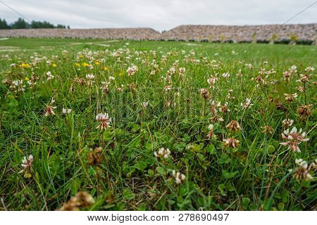 Scenery Of Stones And Meadow In Koknese In The Park Garden Of Destinies In Latvia. Garden Of Destini