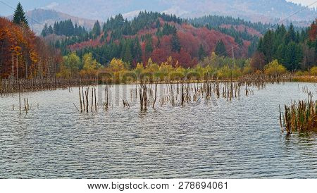 Autumn Lake With Trunks Of Dead Tree. Cuejdel Lake Was Born 30 Years Ago (a Landfall On River Cuejde
