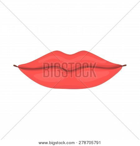 Vector Design Of Body And Part Symbol. Set Of Body And Anatomy Stock Vector Illustration.