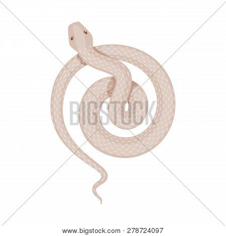 Vector Design Of Poison And Evil Icon. Set Of Poison And Bite Stock Vector Illustration.