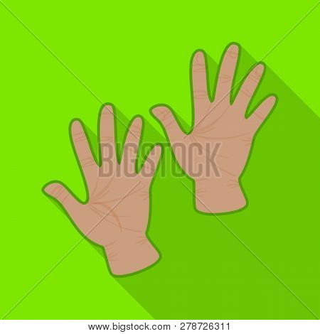 Vector Design Of Own And Textile Symbol. Collection Of Own And Safety Vector Icon For Stock.