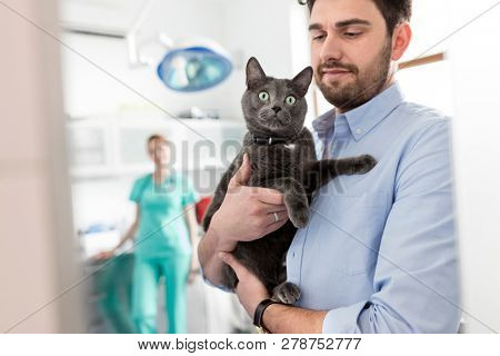 Owner carrying Russian Blue cat at veterinary clinic