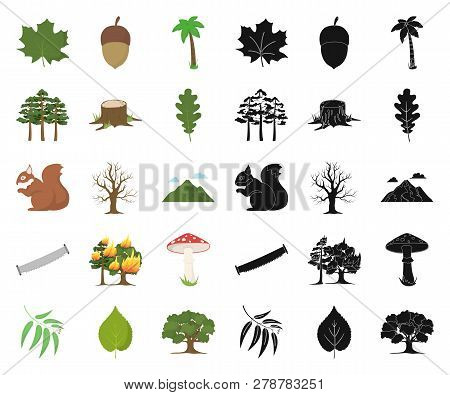 Forest And Nature Cartoon, Black Icons In Set Collection For Design. Forest Life Vector Symbol Stock