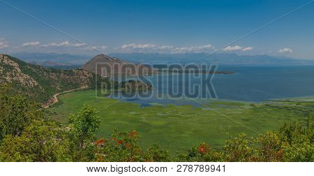 Skadar Lake And Crnojevica River In Montenegro