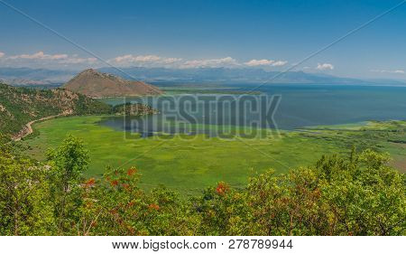 Skadar Lake And Crnojevica River In Montenegro