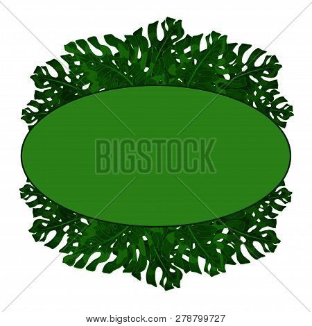 Oval Frame For Text From Exotic, Green Monstera Leaves. Idea For Poster, Postcard, Flyer. Tropical L