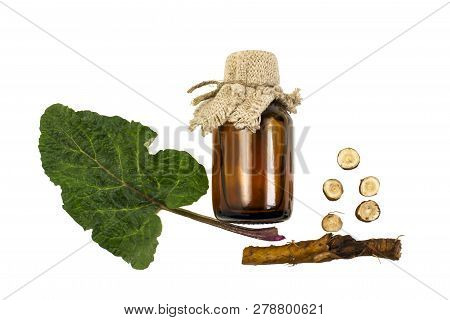 Burdock (arctium Lappa), Root And Leaves, Burdock Oil In Bottle Isolated On White. Medicinal Plant B