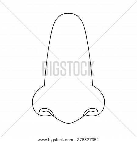 Vector Illustration Of Body And Part Symbol. Collection Of Body And Anatomy Vector Icon For Stock.
