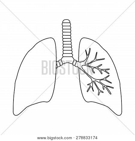 Vector Design Of Anatomy And Organ Logo. Set Of Anatomy And Medical Stock Symbol For Web.