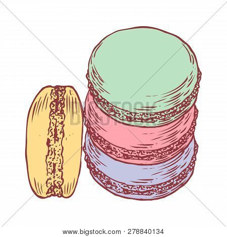 Delicious Hand Drawn French Macarons. Engraving Style Pen Pencil Painting Retro Vintage Vector Linea
