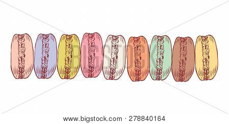 Delicious Hand Drawn French Macarons. Engraving Style Pen Pencil Painting Retro Vintage Vector Linea