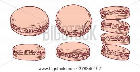Set Of Delicious Hand Drawn French Macarons In Different Positions. Engraving Style Pen Pencil Paint