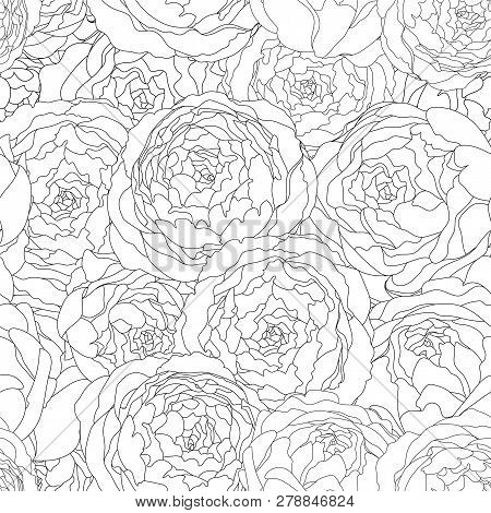 Seamless Background Vintage Pattern With Peony Flowers. Vector Hand Drawn Illustration. Graphic Hand