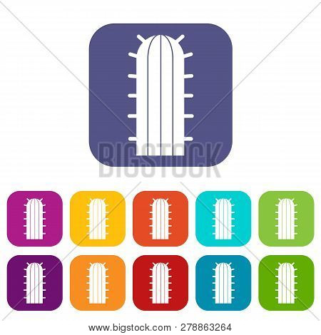 Cereus Candicans Cactus Icons Set Illustration In Flat Style In Colors Red, Blue, Green And Other