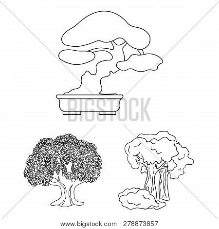 Vector Illustration Of Tree  And Forest Sign. Set Of Tree  And Green Stock Vector Illustration.