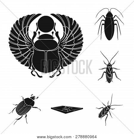 Vector Design Of Insect And Beetle Logo. Set Of Insect And Halloween Vector Icon For Stock.