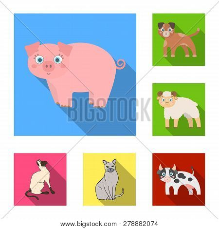 Vector Illustration Of Animal And Habitat Logo. Set Of Animal And Farm Vector Icon For Stock.
