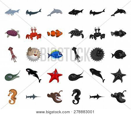 Isolated Object Of Sea And Animal Icon. Collection Of Sea And Marine Stock Vector Illustration.
