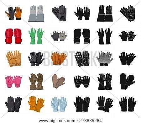 Vector Illustration Of Glove And Winter Logo. Collection Of Glove And Equipment Vector Icon For Stoc