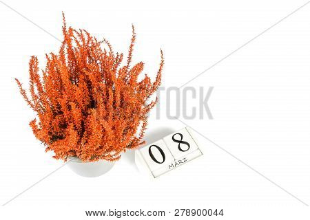 Flowers Of Orange Calluna Vulgaris With Cube Calendar On White Background, Isolated, Copy Space For 