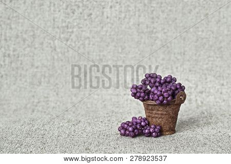 Sluggish Purple Berries Of A Beautiful Fruit Tree In A Rusty Bucket On A Canvas Background - Still L
