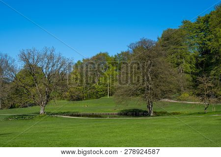 Liselund Park On Island Of Moen In Denmark