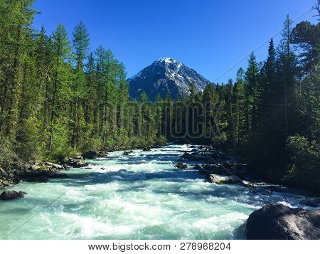 Mountain River Flowing In The Forest. Blue Kucherla River In Belukha National Park, Altai Mountains,