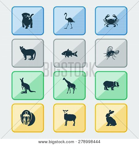 Zoo Icons Set With Fly, Hippo, Crab And Other Camelopard Elements. Isolated  Illustration Zoo Icons.