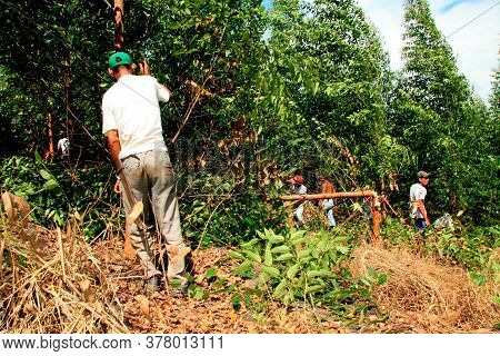 Eunapolis, Bahia / Brazil - April 8, 2009: Member Of The Landless Movement - Mst - Are Spotted Durin