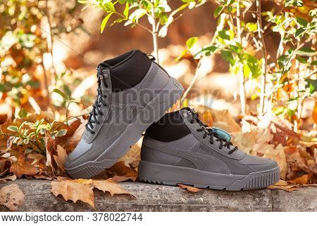 Varna , Bulgaria - Novebmber 15, 2019 Puma Tarrenz Sb Winter Sport Shoes. Puma Is A German Company. 