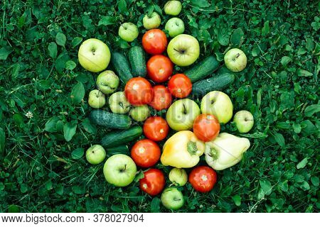 Tomatoes, cucumbers, peppers and apples lie on the green grass.