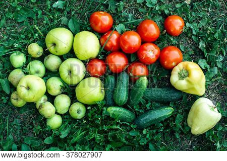 Tomatoes, cucumbers and peppers lie on the green grass. Vegetables.