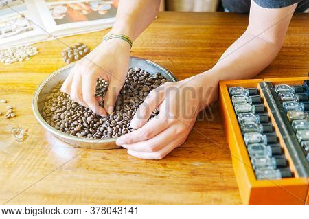 People Selecting Quality Samples Of Coffee On The Plantation In Colombia