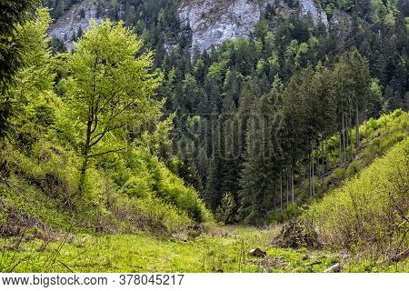 Huciaky Gorge, Low Tatras Mountains, Slovak Republic. Travel Destination. Hiking Theme.