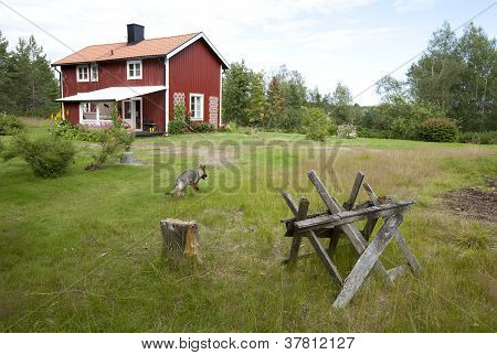 Livet i landet, Falu röd färg.